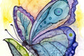 Alcohol Ink - Butterfly by Trish 09/16/26