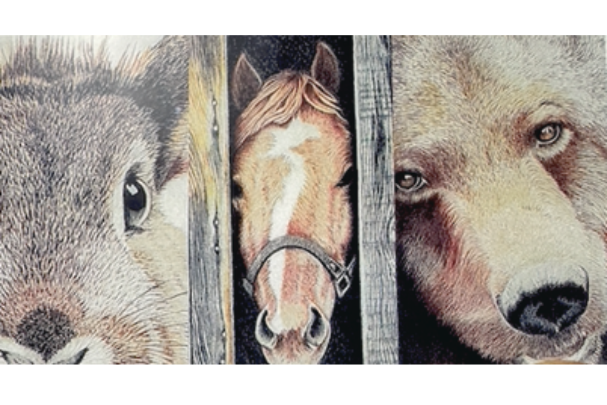 Colored Pencil Class (Marcia Bauman)