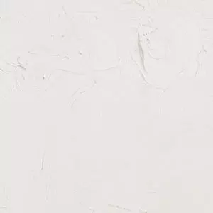 ARTIST 16OZ TI ZINC WHTE