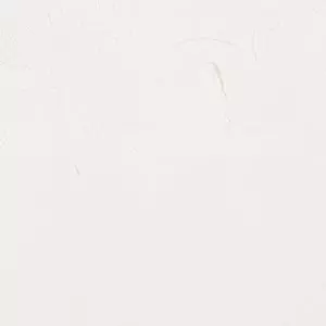 ARTIST 150ML RADIANT WHT