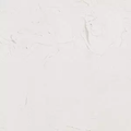 ARTIST 8OZ TITAN ZINC WH