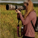 prescott fine art,Celebrating Local Artists,Creative Spirit,Premium Art Supplies,gallery