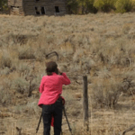 prescott fine art,Celebrating Local Artists,Creative Spirit,Premium Art Supplies,gallery